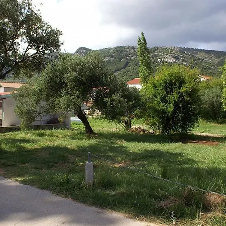 Zuljana 4577a